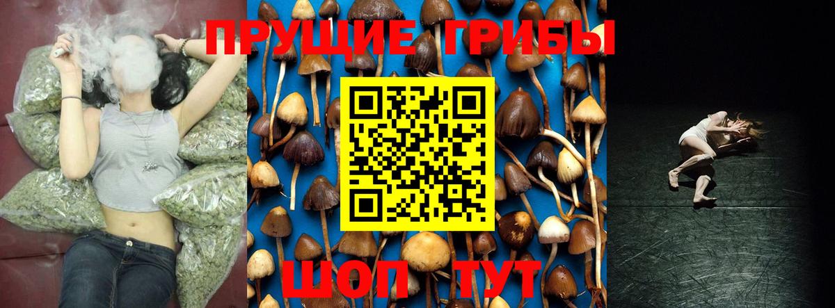 Алушта  Псилоцибиновые грибы MAGIC MUSHROOMS  Вход с VPN 
